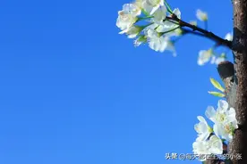 女人低成本变美的15个微习惯图片