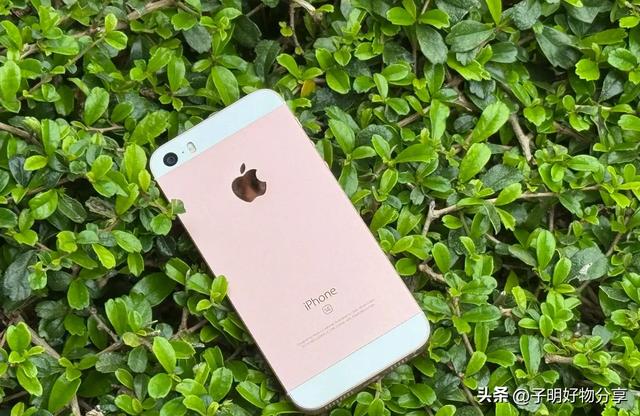 iPhone这五款凭什么封神？看懂就知苹果有多强