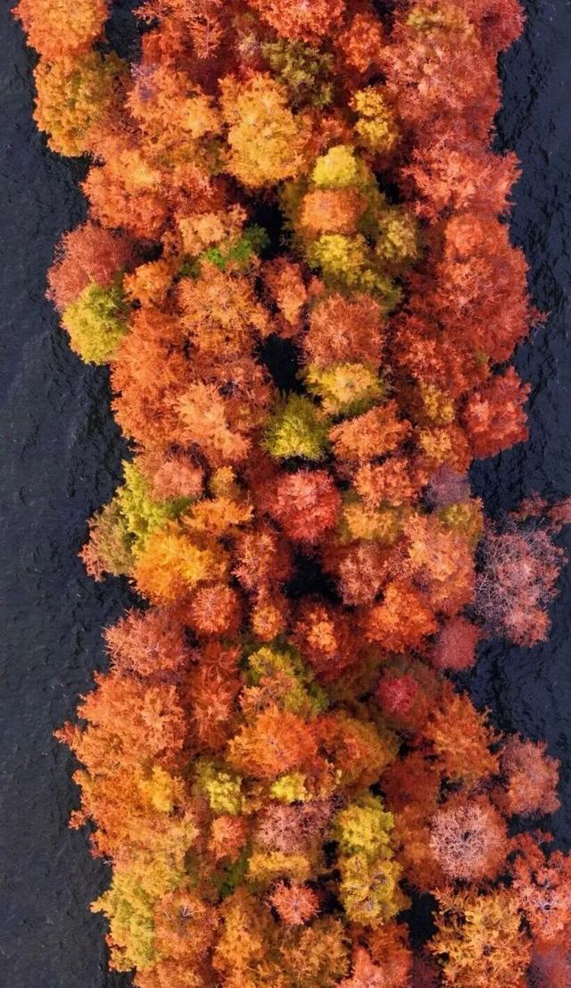 冬天在大理，要做这10件事！