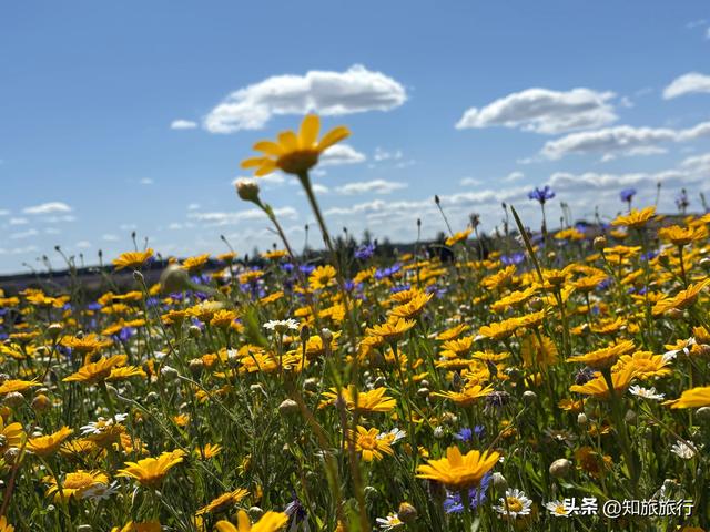 2025年环球知旅——科茨沃尔德地区
