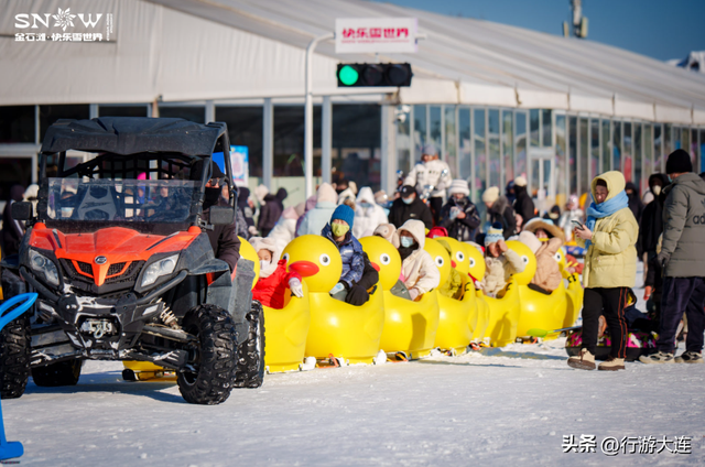 除了海，大连冬日“顶流”竟然是它们？