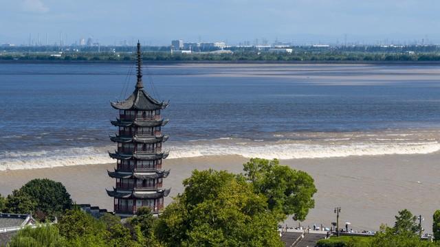 杭州地铁漫游指南：5个免费景点直达，体验不花钱的纯粹快乐