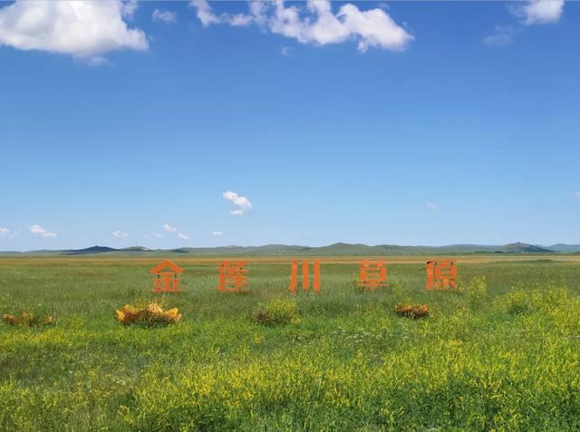 锡林格勒：从敖包经幡到金莲绽放，触摸草原的千年脉搏！
