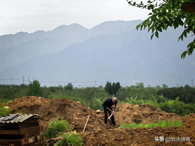 蓝田这村子人才济济，当朝正三品官员都不算啥，有传承就是不一样