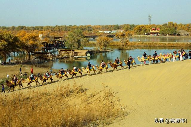 聆听千年回响·共赴沙海之约——罗布人村寨沙漠旅游节开幕仪式