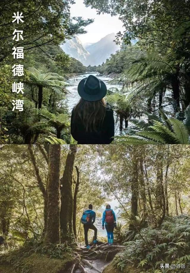 🇳🇿 2026新西兰自然之旅｜轻徒步+不自驾+小团队