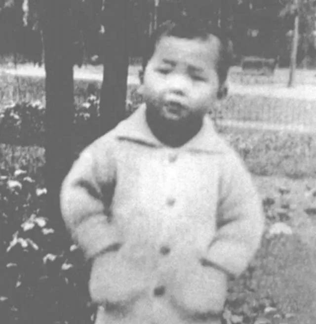 1942年，14岁李鹏遇见毛泽东，说了一句话让主席惊讶：要重点培养