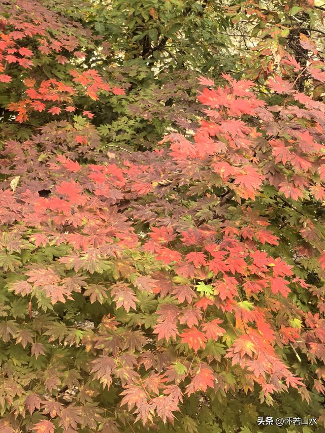 2025辽宁赏秋之旅日记(3)——游览洋湖沟和老边沟