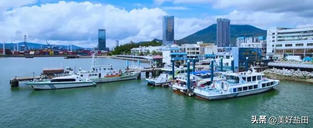 别抢迪士尼了！盐田“海洋非遗”研学开闸，名额秒没，手慢无！