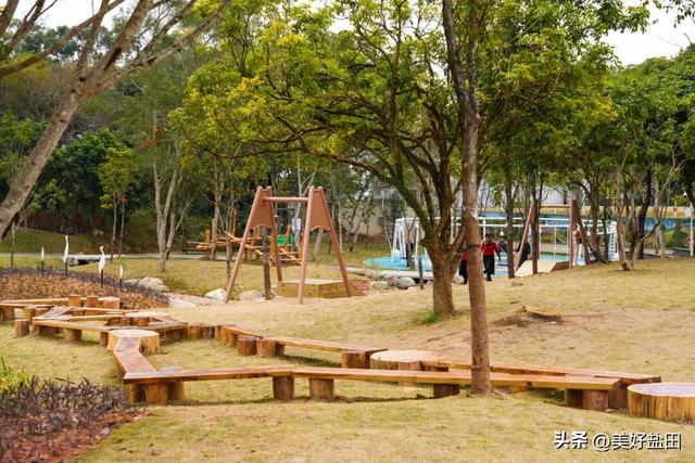 二刷、三刷……遛娃党解锁恩上湿地新玩法！