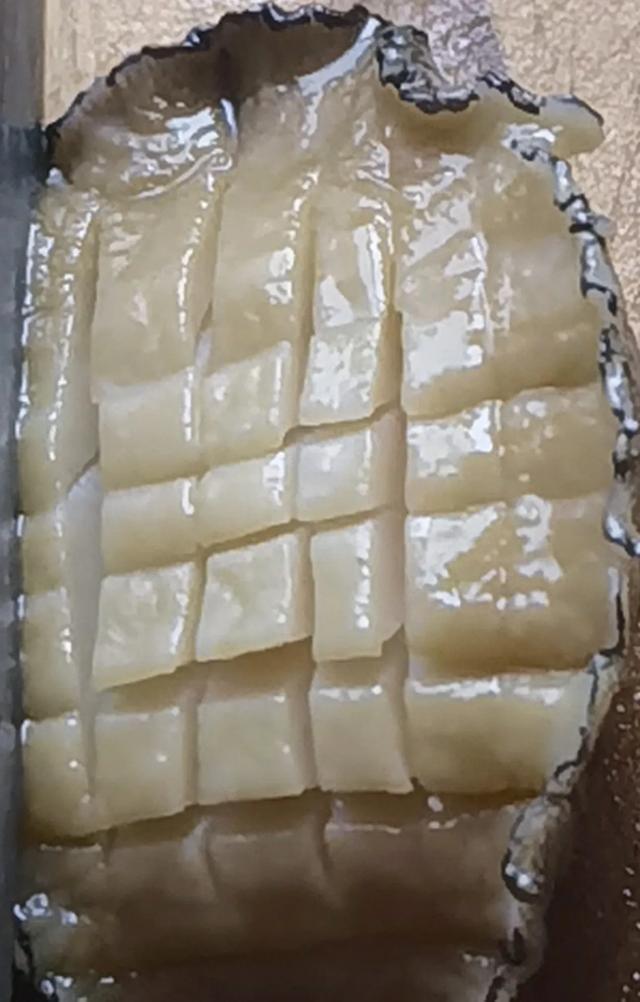 菠菜和花胶可以同吃吗 2025年菠菜可以和花胶一起吃吗