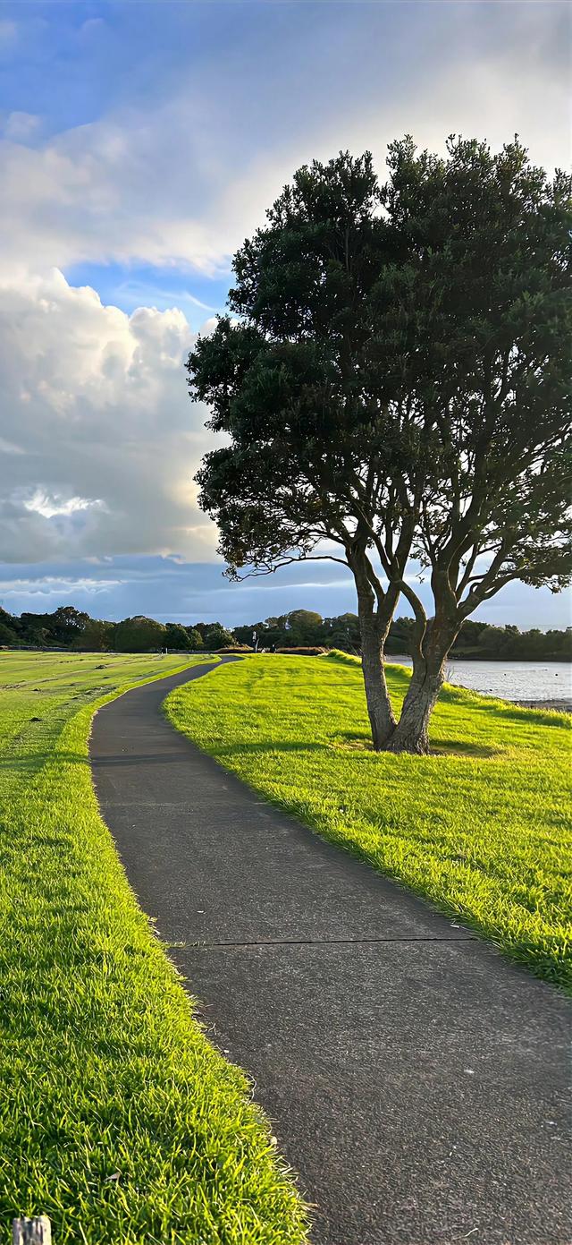手机壁纸|简约的自然风光美景