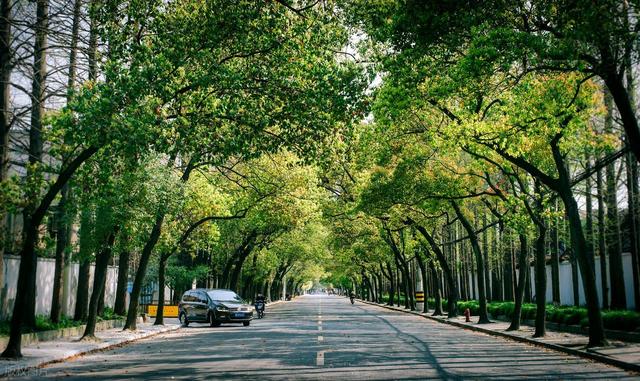 上海神秘小岛逆袭！从无人问津到3天10万人打卡，你愿住这里吗？