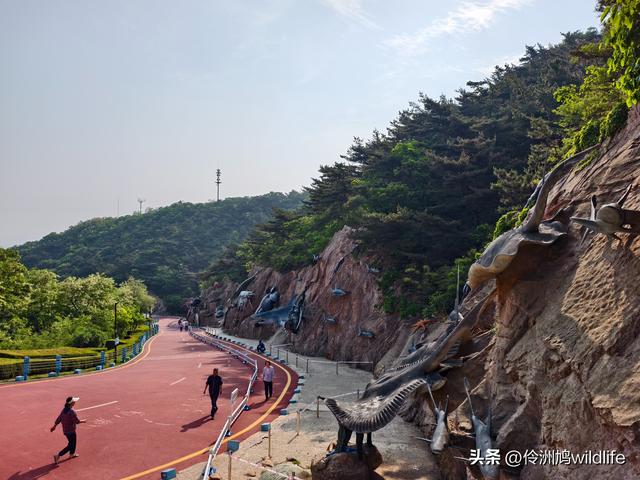 大连海之韵公园·棒槌岛