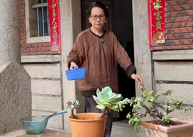 赖昌星妻子曾明娜现状	，独居3000平老宅，做饭弄花草活成人生赢家