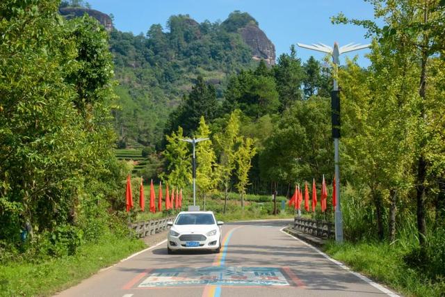一路“香”逢武夷秋 | 非遗民俗+科技赋能，解锁武夷文旅流量密码~