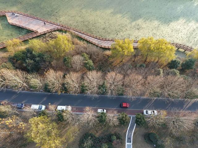 温县滨河公园，耐看！
