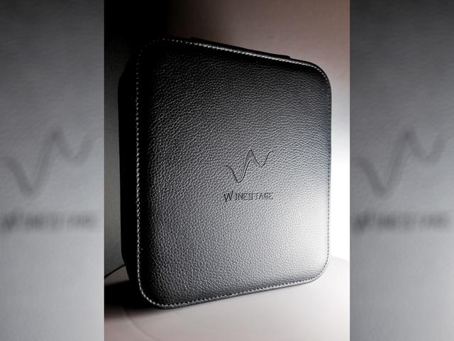 Winestage KONG 多动铁入耳耳机 - TDS 无心快语