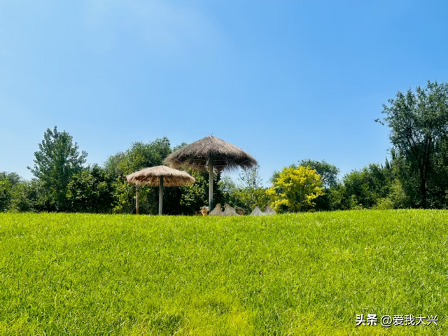 方案批复！大兴野生动物园规划有新进展