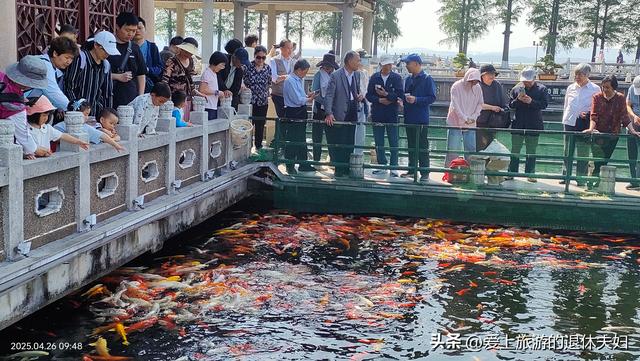 出游第8站-武汉：马不停蹄也转不完，看我俩都去了哪？在哪最悠闲