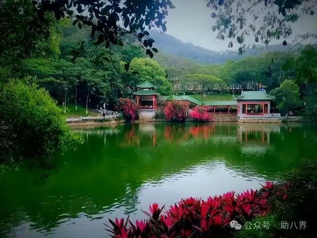广东东莞十大打卡地（精简版）