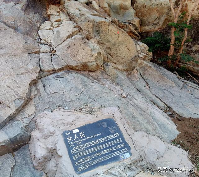 塞上江南宁夏，一个被严重低估的旅游大省