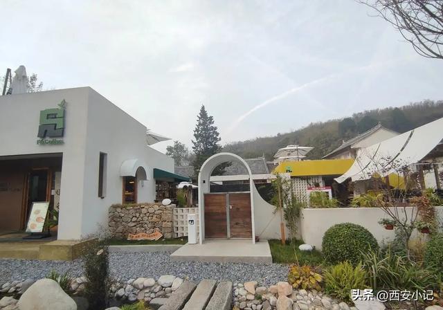 赏柿子不需要去远方，西安这里1小时可达，红柿配村舍，人少景美