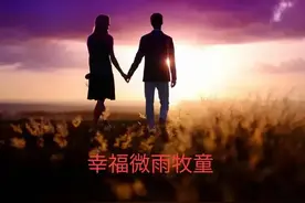 半路夫妻（40）图片