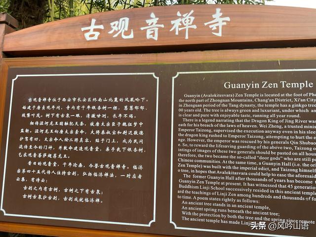 游古观音禅寺，观千年银杏树