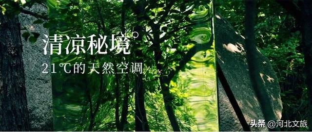 免票福利升级！21℃的“天然大空调”，感受清凉秘境