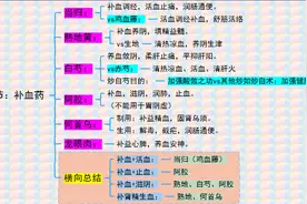 《中药学》 17.补虚药（ 补血药、补阴药）图片