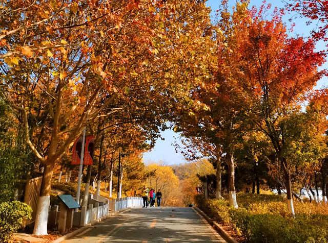 北京旅游：难忘春秋两季游北宫森林公园（图）