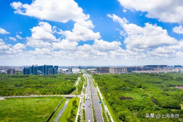 为什么金海的路大多都叫X园路、X丰路？