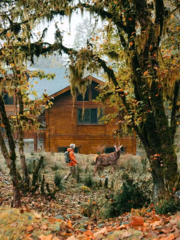 “秋假”开耍！带着小宝来雅安准没错！