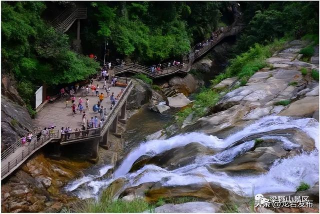 龙岩周末去哪儿 | 秋意浓！带上家人一起登高、远眺~