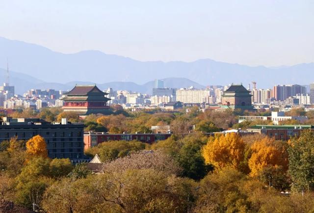 你会怀念这个秋天吗？