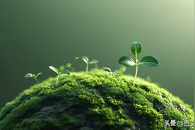 守护“生态绿” 织密“保护网” 西安公安多举措筑牢野生动植物保护防线图片