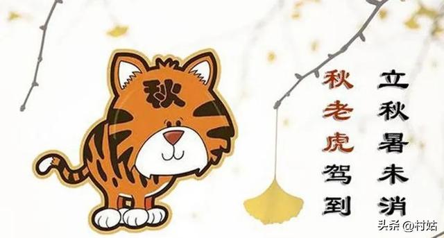 今年立秋不一般，60年一遇“闭眼秋，脱衣秋”，立秋后还热不热？