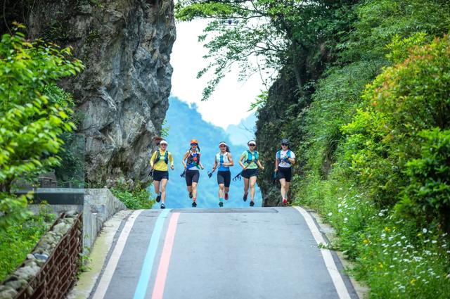 成都6个宁静村落，邂逅彩林、稻田、芦苇、草坪…景美好玩不扎堆
