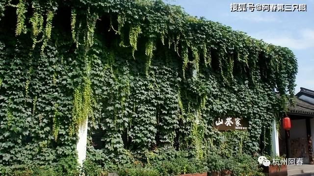 看杭州之 拱宸桥桥西直街