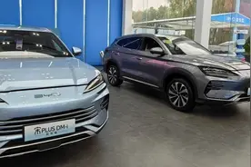 2024年上海“绿牌”政策出台！新能源消费市场火热图片