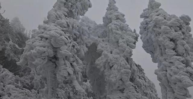 桂北琼枝 雾凇胜雪——黄花岭赏凇