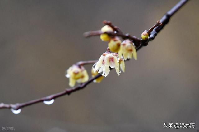 当爱人不再爱你了，不低头不诋毁不回头，是尊重过往也是成全自己