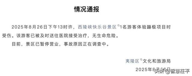 又有游客受伤，网红项目如何长红？