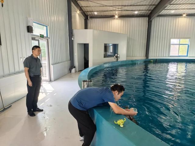 长江江豚人工繁育技术获重大突破 全球首个珍稀濒危淡水鲸类精子库在武汉建立