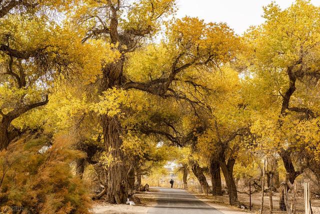 中国十大世界级绝世美景，你去过几个？全部去过的算你厉害！