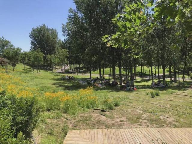 在昌平躺坪 | 20分钟，让公园治愈你