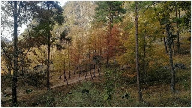 柳州市郊外几个小众景点（几个小草原，重点：拉建草原徒步环线）