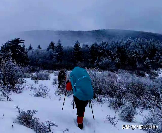国家该不该开发“夺命”鳌太线？