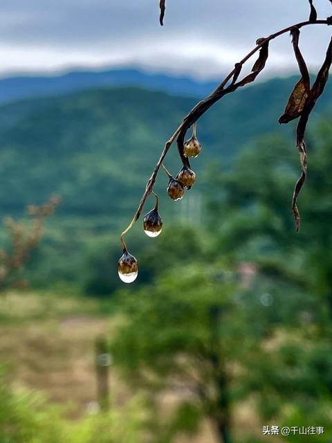 临山一声唤，愁煞跟风人——骑行圈的智商税与真快乐